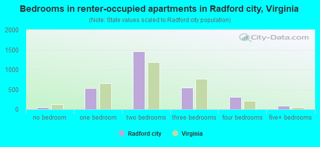 Bedrooms in renter-occupied apartments in Radford city, Virginia