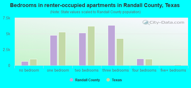 Bedrooms in renter-occupied apartments in Randall County, Texas
