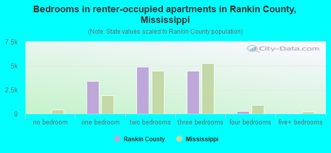 Bedrooms in renter-occupied apartments in Rankin County, Mississippi