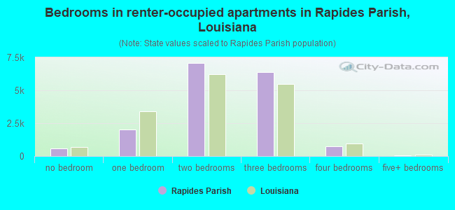 Bedrooms in renter-occupied apartments in Rapides Parish, Louisiana