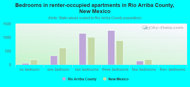 Bedrooms in renter-occupied apartments in Rio Arriba County, New Mexico