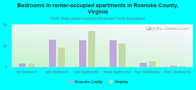 Bedrooms in renter-occupied apartments in Roanoke County, Virginia