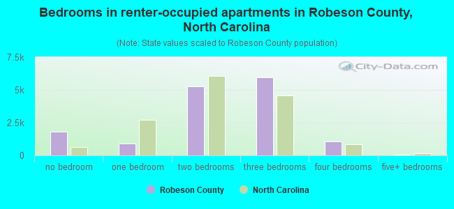 Bedrooms in renter-occupied apartments in Robeson County, North Carolina