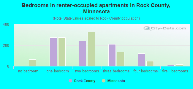 Bedrooms in renter-occupied apartments in Rock County, Minnesota