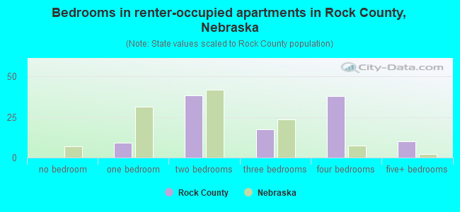 Bedrooms in renter-occupied apartments in Rock County, Nebraska