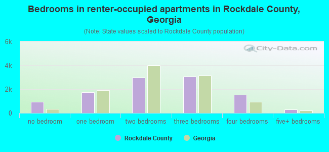 Bedrooms in renter-occupied apartments in Rockdale County, Georgia