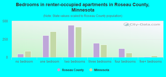 Bedrooms in renter-occupied apartments in Roseau County, Minnesota