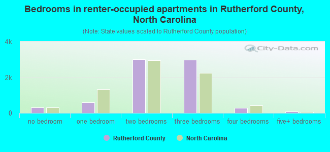 Bedrooms in renter-occupied apartments in Rutherford County, North Carolina