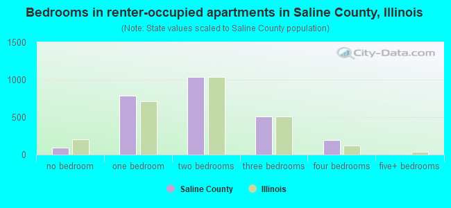 Bedrooms in renter-occupied apartments in Saline County, Illinois