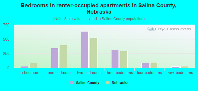 Bedrooms in renter-occupied apartments in Saline County, Nebraska
