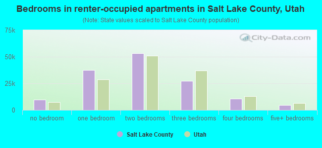 Bedrooms in renter-occupied apartments in Salt Lake County, Utah