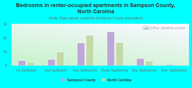 Bedrooms in renter-occupied apartments in Sampson County, North Carolina