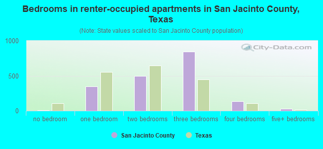 Bedrooms in renter-occupied apartments in San Jacinto County, Texas