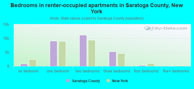 Bedrooms in renter-occupied apartments in Saratoga County, New York