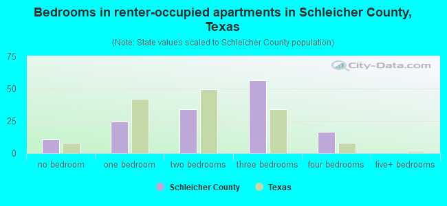 Bedrooms in renter-occupied apartments in Schleicher County, Texas