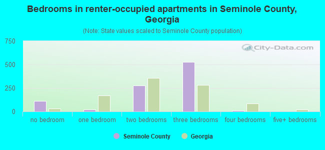 Bedrooms in renter-occupied apartments in Seminole County, Georgia