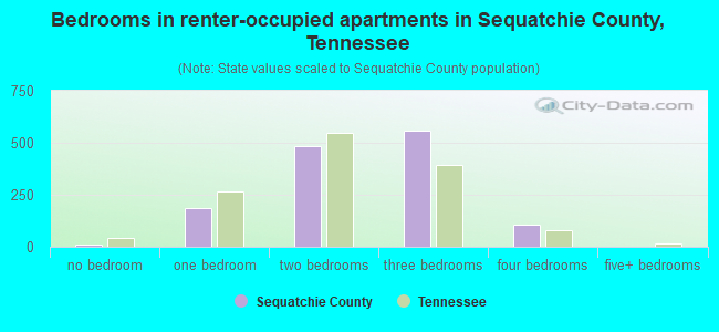 Bedrooms in renter-occupied apartments in Sequatchie County, Tennessee