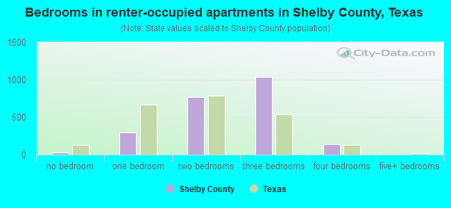 Bedrooms in renter-occupied apartments in Shelby County, Texas