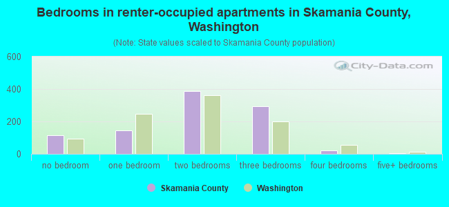 Bedrooms in renter-occupied apartments in Skamania County, Washington