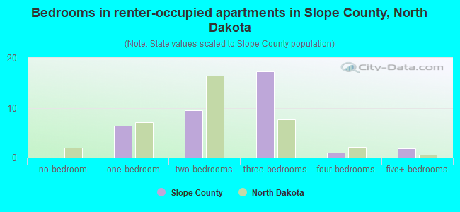 Bedrooms in renter-occupied apartments in Slope County, North Dakota