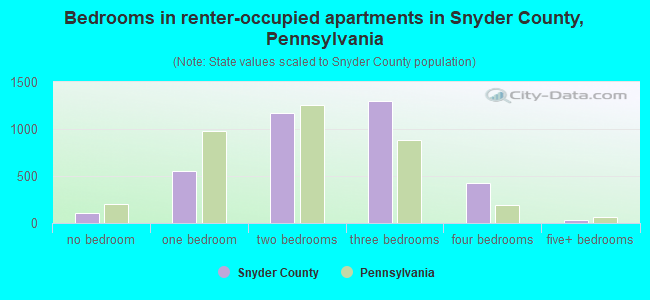 Bedrooms in renter-occupied apartments in Snyder County, Pennsylvania