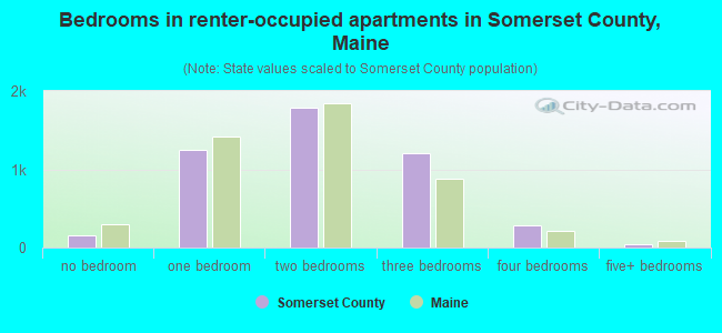 Bedrooms in renter-occupied apartments in Somerset County, Maine