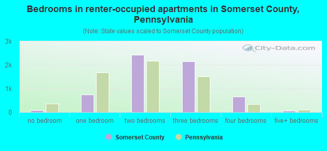 Bedrooms in renter-occupied apartments in Somerset County, Pennsylvania