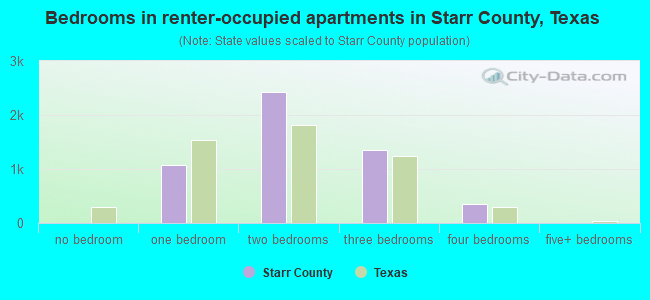 Bedrooms in renter-occupied apartments in Starr County, Texas