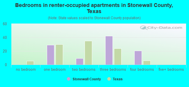Bedrooms in renter-occupied apartments in Stonewall County, Texas