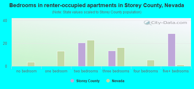 Bedrooms in renter-occupied apartments in Storey County, Nevada