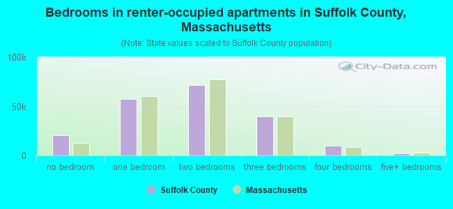 Bedrooms in renter-occupied apartments in Suffolk County, Massachusetts