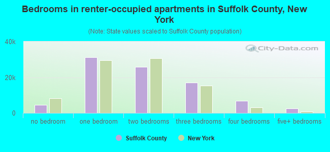 Bedrooms in renter-occupied apartments in Suffolk County, New York