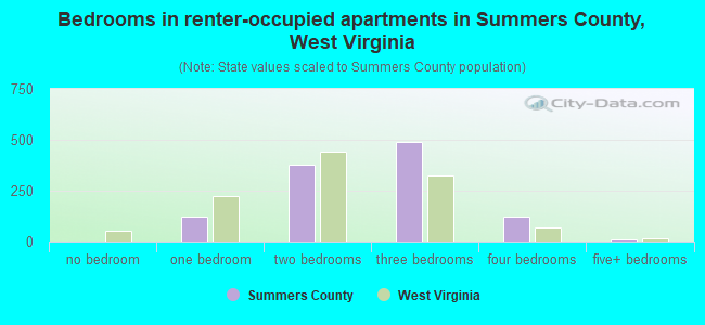 Bedrooms in renter-occupied apartments in Summers County, West Virginia