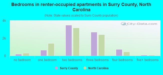 Bedrooms in renter-occupied apartments in Surry County, North Carolina
