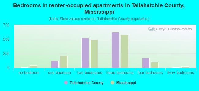 Bedrooms in renter-occupied apartments in Tallahatchie County, Mississippi