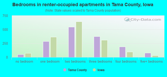 Bedrooms in renter-occupied apartments in Tama County, Iowa
