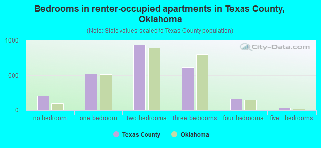 Bedrooms in renter-occupied apartments in Texas County, Oklahoma