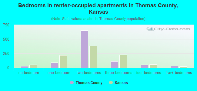 Bedrooms in renter-occupied apartments in Thomas County, Kansas