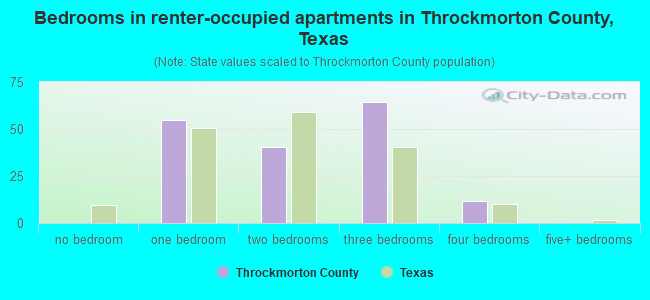 Bedrooms in renter-occupied apartments in Throckmorton County, Texas