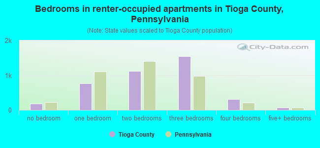 Bedrooms in renter-occupied apartments in Tioga County, Pennsylvania