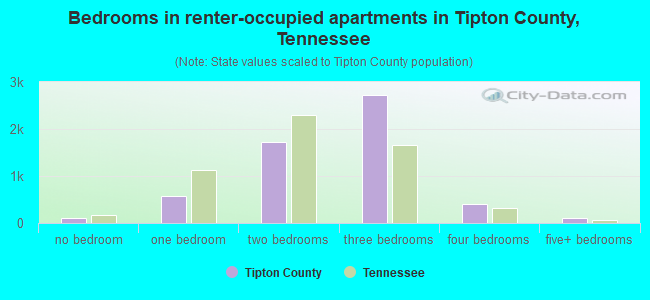 Bedrooms in renter-occupied apartments in Tipton County, Tennessee