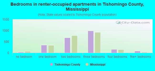 Bedrooms in renter-occupied apartments in Tishomingo County, Mississippi