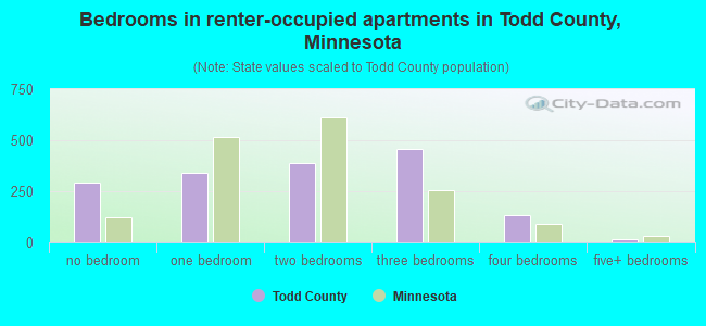 Bedrooms in renter-occupied apartments in Todd County, Minnesota