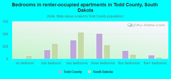 Bedrooms in renter-occupied apartments in Todd County, South Dakota