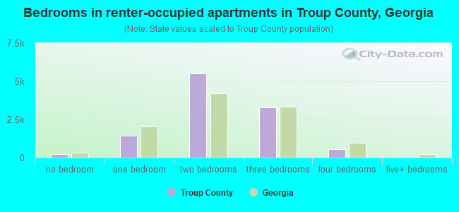 Bedrooms in renter-occupied apartments in Troup County, Georgia