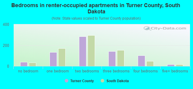 Bedrooms in renter-occupied apartments in Turner County, South Dakota