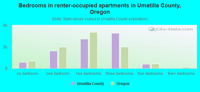 Bedrooms in renter-occupied apartments in Umatilla County, Oregon
