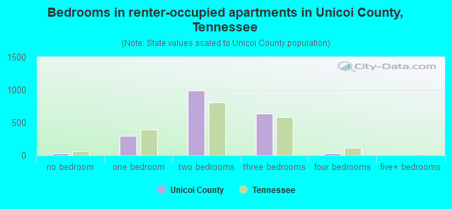 Bedrooms in renter-occupied apartments in Unicoi County, Tennessee