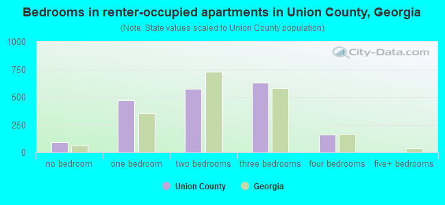 Bedrooms in renter-occupied apartments in Union County, Georgia