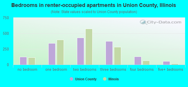 Bedrooms in renter-occupied apartments in Union County, Illinois